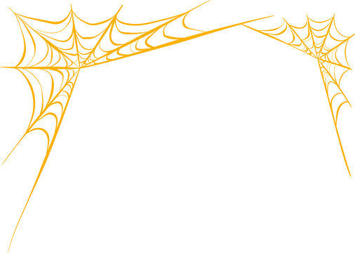 spider web