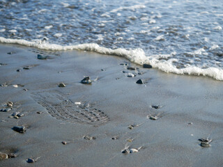 波打ち際の足跡