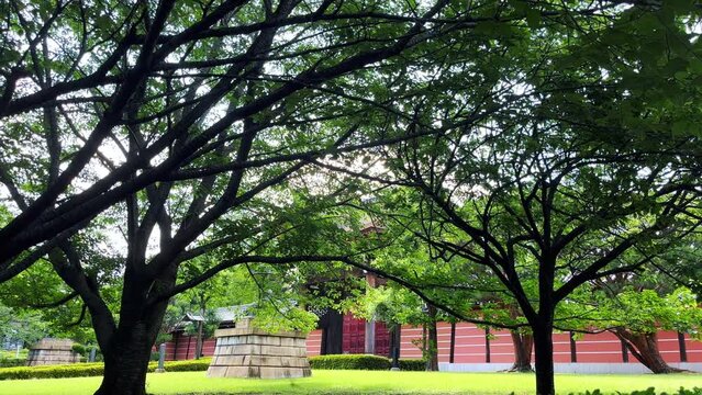 曹洞宗大本山總持寺　向唐門