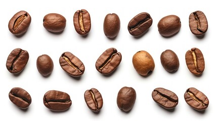 Naklejka premium Set of fresh roasted coffee beans 