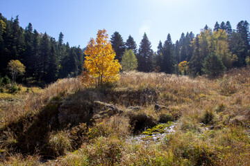 the beginning of autumn, walks in the highlands, panoramic views and glades with dried vegetation