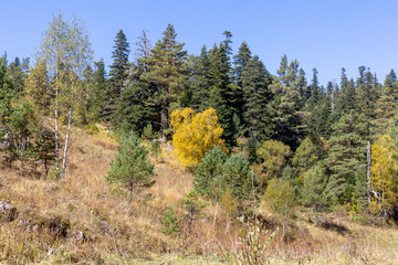 the beginning of autumn, walks in the highlands, panoramic views and glades with dried vegetation