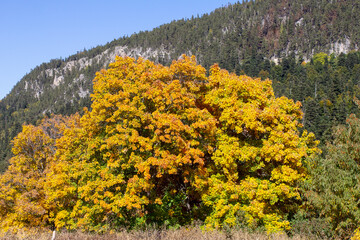 the beginning of autumn, walks in the highlands, panoramic views and glades with dried vegetation