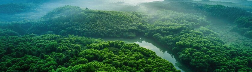 Stunning aerial view of lush green forest with a winding river amidst misty mountain landscape, showcasing the beauty and tranquility of nature.