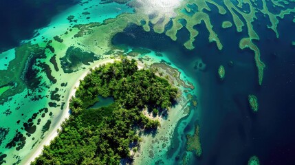Stunning aerial view of a tropical island surrounded by crystal-clear water, colorful coral reefs, and lush greenery.