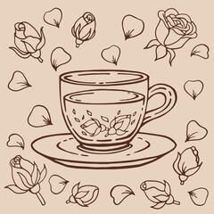 Set with glass cup tea, rose. Hand drawn vector illustration in outline style.