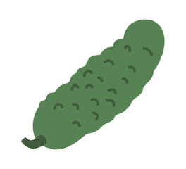 Green cucumber. Pickle graphic element. Cartoon vector raw fresh vegetable icon