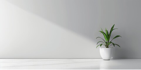 Modern minimalist background featuring generous blank area.