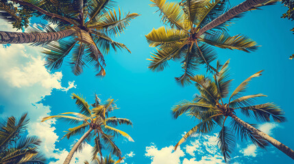 View from Below of Tall Palm Trees with Lush Green Fronds Against a Bright Blue Sky on a Sunny Day