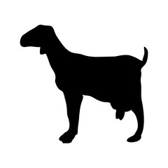 silhouette or illustration of a goat or sheep