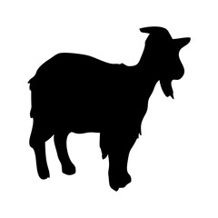 silhouette or illustration of a goat or sheep