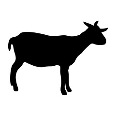silhouette or illustration of a goat or sheep