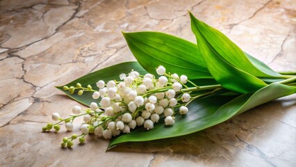 Fototapeta premium Delicate white bell-shaped lily of the valley flowers with vibrant green leaves scattered on a luxurious cream-colored marble floor, symbolizing purity and innocence.