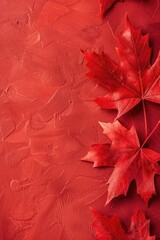 vertical banner, Civil holiday in Canada, maple leaves on red abstract background, texture of oil paint, copy space, free space for text