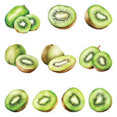 Fototapeta premium Kiwi Watercolor Illustration