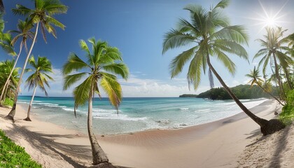 Obraz premium Coastal Paradise: Panoramic Vista of Coconut Beach