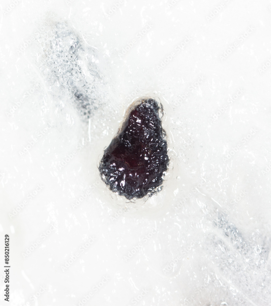 Sticker seeds on dragon fruit pulp as background. macro