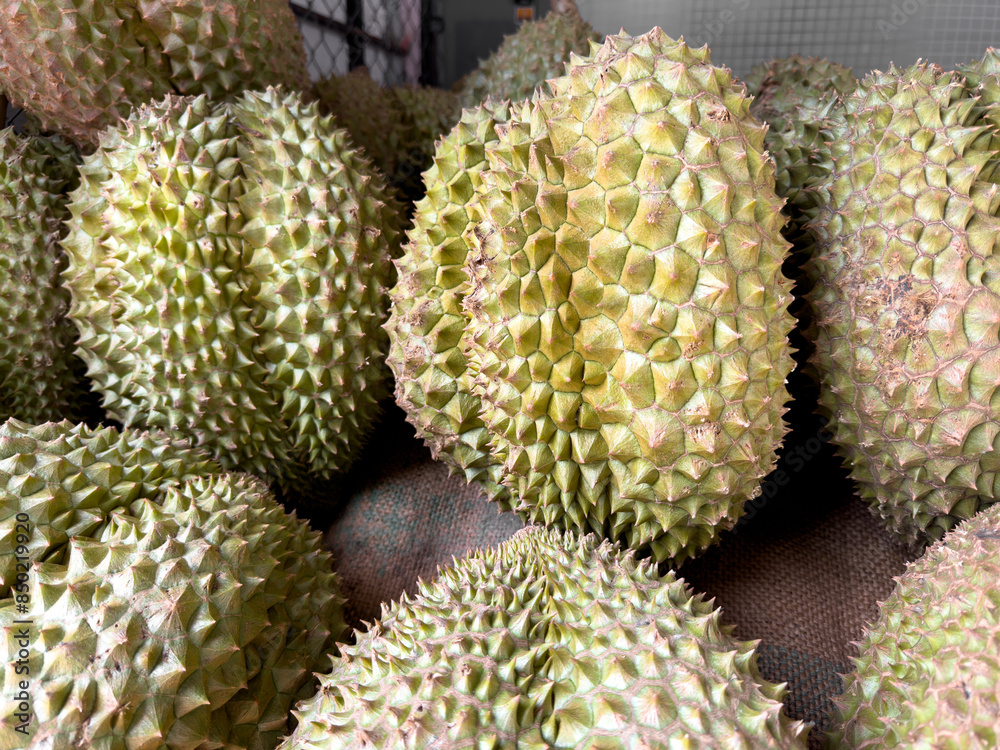 Wall mural Durians on the market as a background