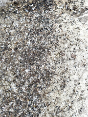 Chicken excrement on the road. Abstract background