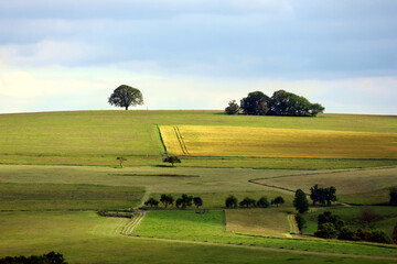 Sommerlandschaft im Hunsrück mit Wiesen und Feldern sowie Bäumen am Horizont. Aussicht vom...