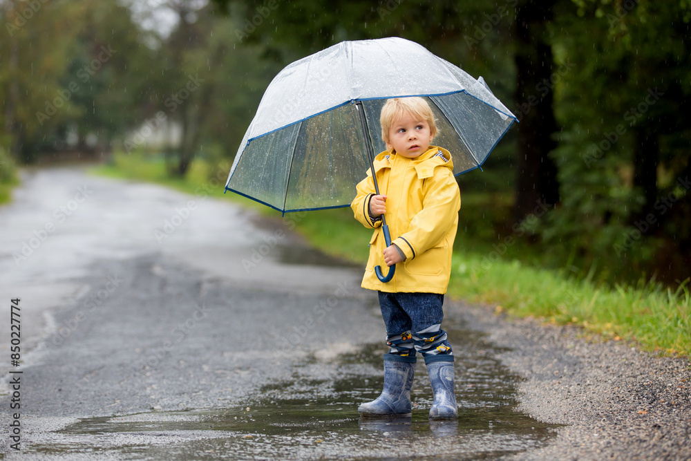 Canvas Prints Cute blond toddler child, boy, playing in the rain with umbrella on a foggy autumn day