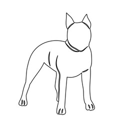dog stands outline sketch