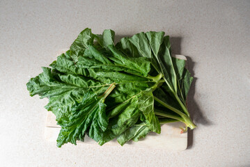 Table green rhubarb leaves and a knife