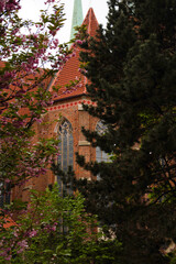 Brick church tower with pink blossoms
