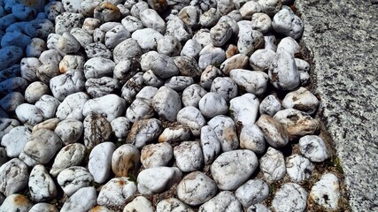A shrine in Otsu, Shiga, Japan, with the Japanese writing 