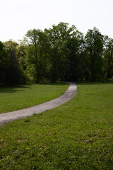 Fototapeta premium Winding path through green forest