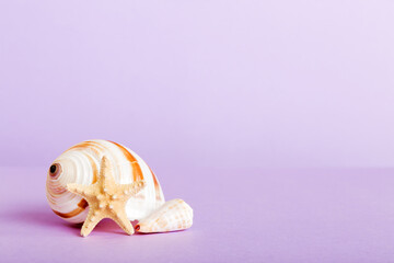Summer time concept with sea shells or starfish on a table background with copy space for text
