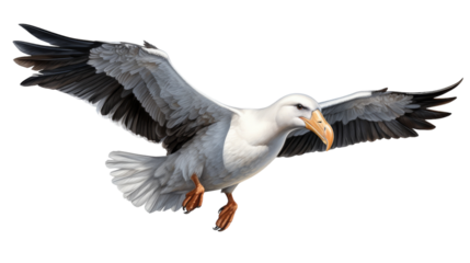 A Grey And White Seabird Soaring Through The Air With Its Wings Spread Wide