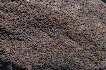 Olivine in basalt, oxidized. Kaena Point Trail, Leeward Coast of Oahu, Hawaii geology. Waianae Volcanics