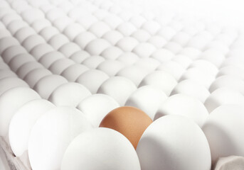 Eggs Background