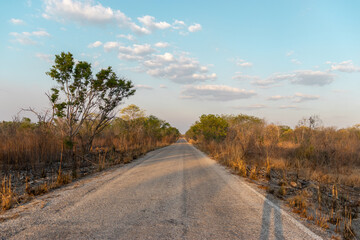 Rural roads where henequen farms flourished in southeastern Mexico