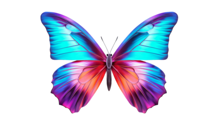 Colorful Butterfly With Blue, Purple, and Red Wings on a White Background