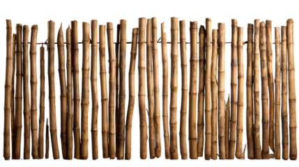 Close-Up of a Natural Bamboo Fence Against a White Background