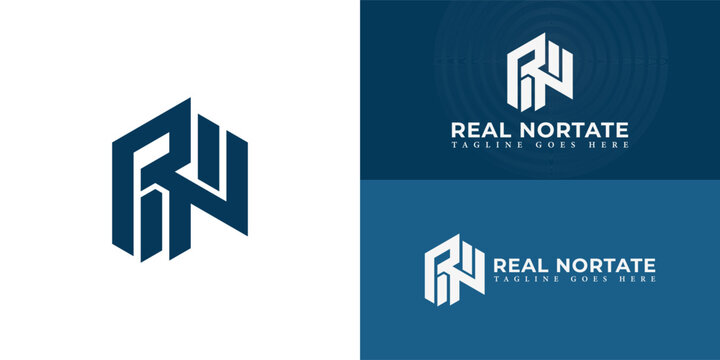 Abstract initial hexagon letters RN or RN logo in blue color isolated on multiple background colors. The logo is suitable for real estate business logo vector design illustration inspiration templates