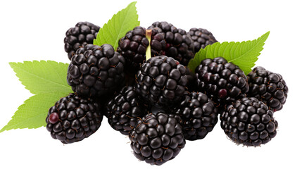 Ripe Blackberries With Green Leaves Isolated On White Background