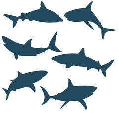 Set of shark silhouette isolated on transparent background.