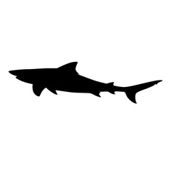 Shark silhouette isolated on transparent background.