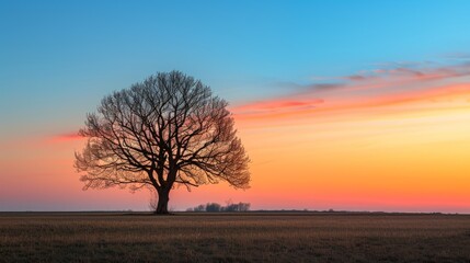 Fototapeta premium Single tree silhouette during sunset, dramatic sky, perfect for a creative banner with plenty of copyspace