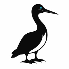 Gannet bird animal Silhouette Vector illustration svg