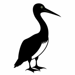 Gannet bird animal Silhouette Vector illustration svg