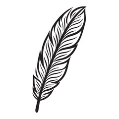 Obraz premium Simple flat feather doodle symbol, black vector illustration on white background