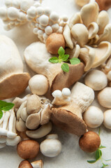 Assortment of various mushrooms