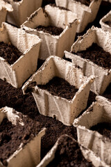square containers for seedlings in agriculture