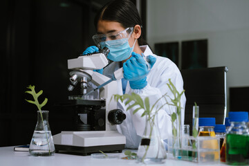 Eco laboratory microbiology. Sample in a Microscope and comparing a plant or herb in test tube or glassware. Natural product and organic cosmetic health care.