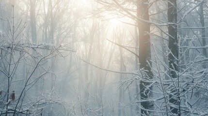 Hushed tranquility of snow-covered forest in soft light background