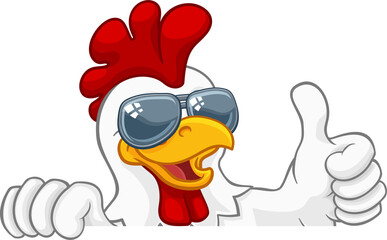 Chicken Rooster Cockerel Bird Sunglasses Cartoon